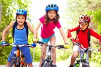 /album/fotogaleria/shutterstock-81178237-w480-jpg/